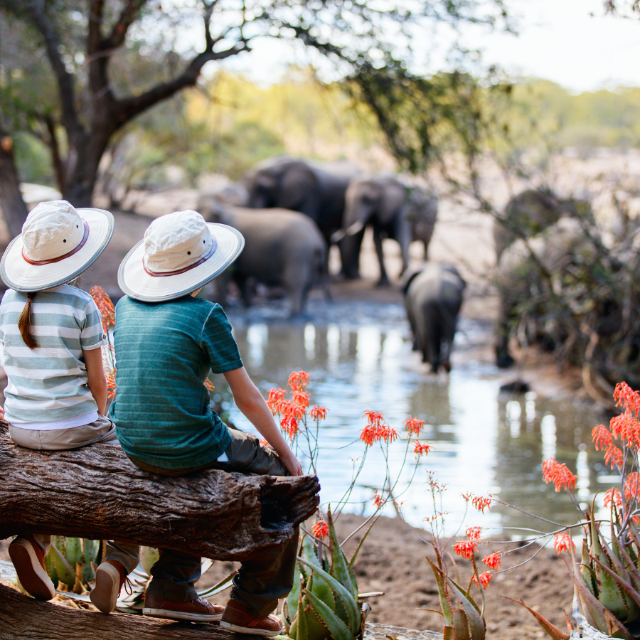 Trải nghiệm "safari" giữa miền Tây hoang dã của Bali